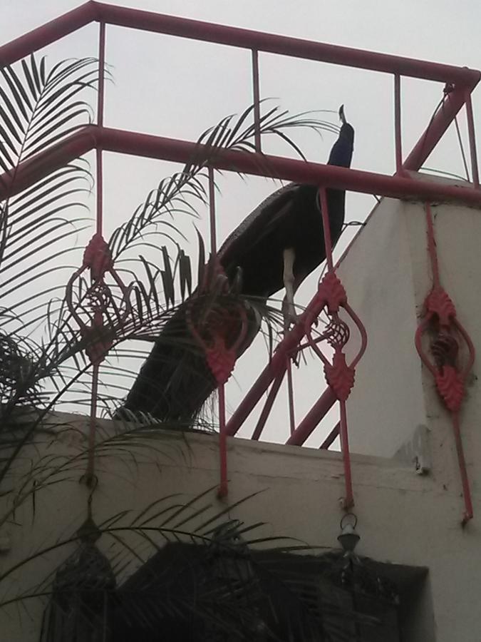 Jaypore House Bed & Breakfast New Delhi Luaran gambar